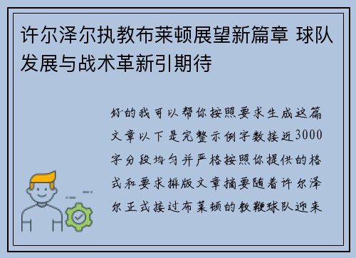 许尔泽尔执教布莱顿展望新篇章 球队发展与战术革新引期待
