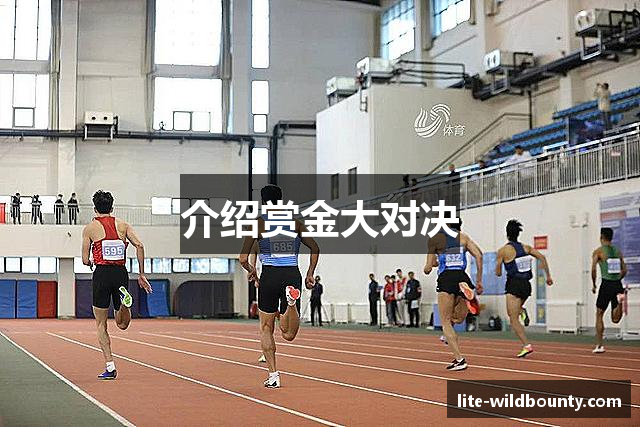 介绍赏金大对决